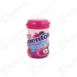 MENTOS ΤΣΙΧΛΕΣ VITAMINS BERRY MIX 90gr Σ6